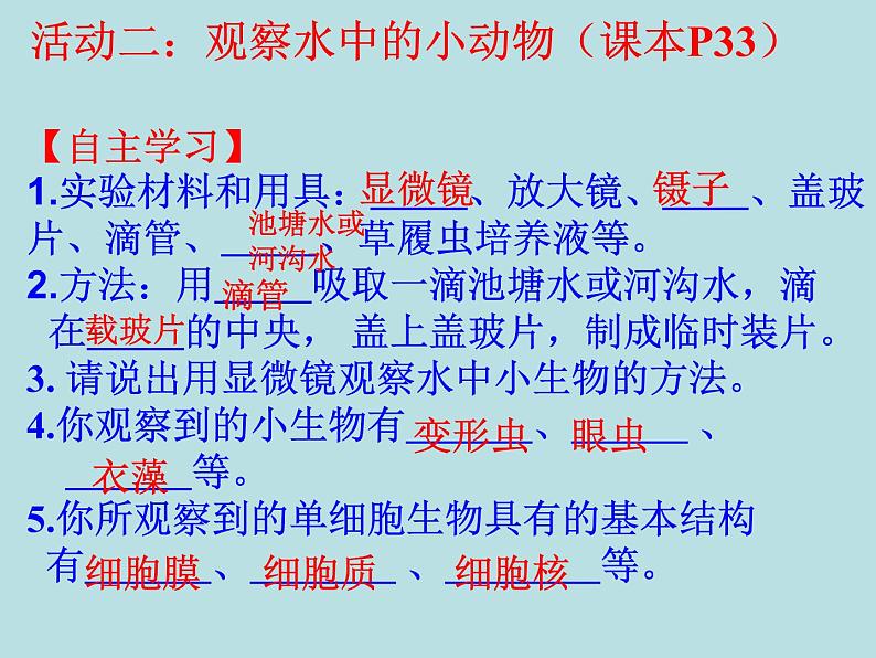 苏科版七下生物 9.3 单细胞的生物体 课件第6页