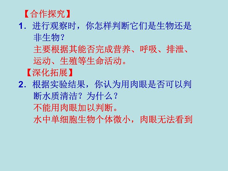 苏科版七下生物 9.3 单细胞的生物体 课件第8页