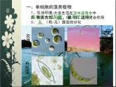 苏科版七下生物 10.2 水中的藻类植物 课件