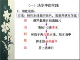 苏科版七下生物 10.2 水中的藻类植物 课件