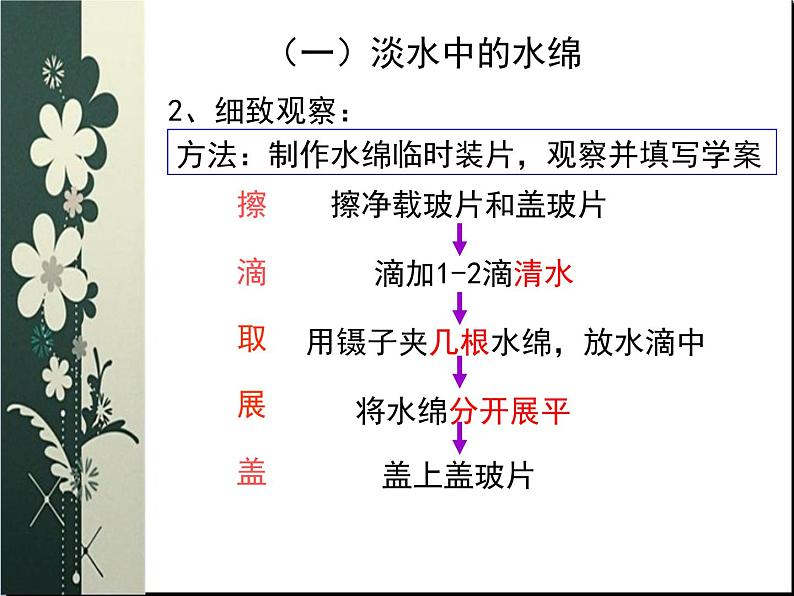 苏科版七下生物 10.2 水中的藻类植物 课件第5页