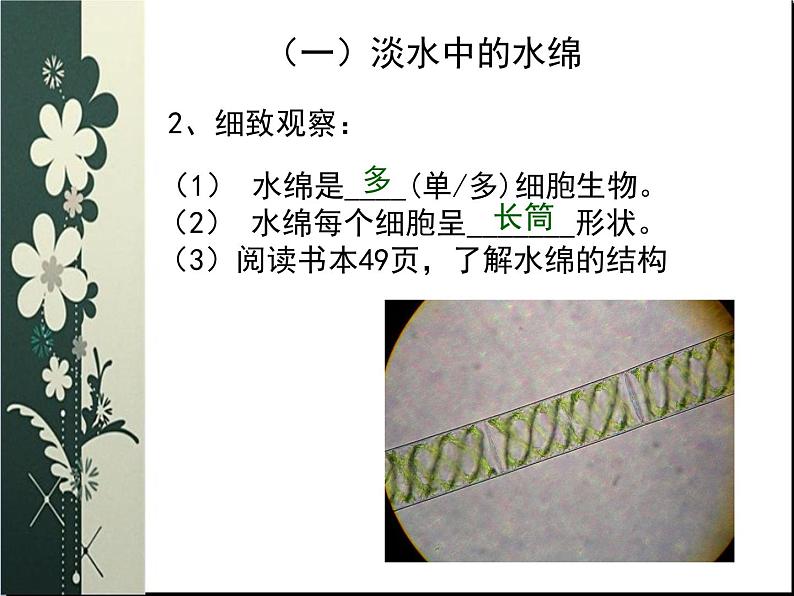 苏科版七下生物 10.2 水中的藻类植物 课件第6页