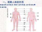 苏科版七下生物 9.2 人体的组成 课件