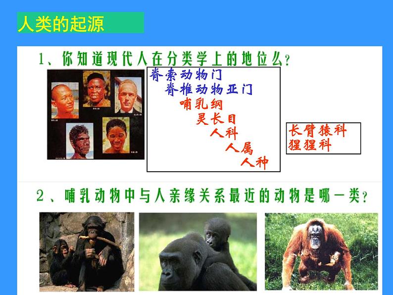 苏科版八下生物 23.4 人类的起源和进化 课件第3页