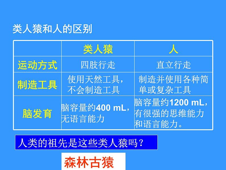 苏科版八下生物 23.4 人类的起源和进化 课件第5页