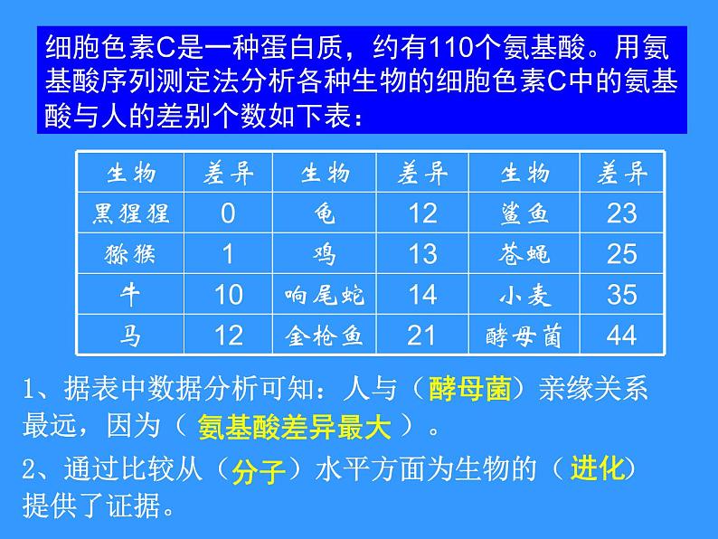 苏科版八下生物 23.4 人类的起源和进化 课件第8页