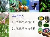 苏科版八下生物 26.2 保护生物多样性 课件