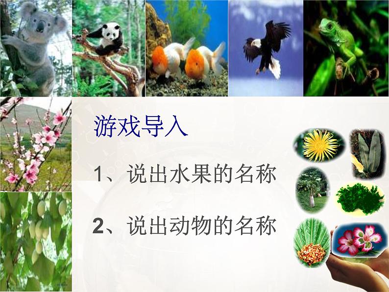 苏科版八下生物 26.2 保护生物多样性 课件02