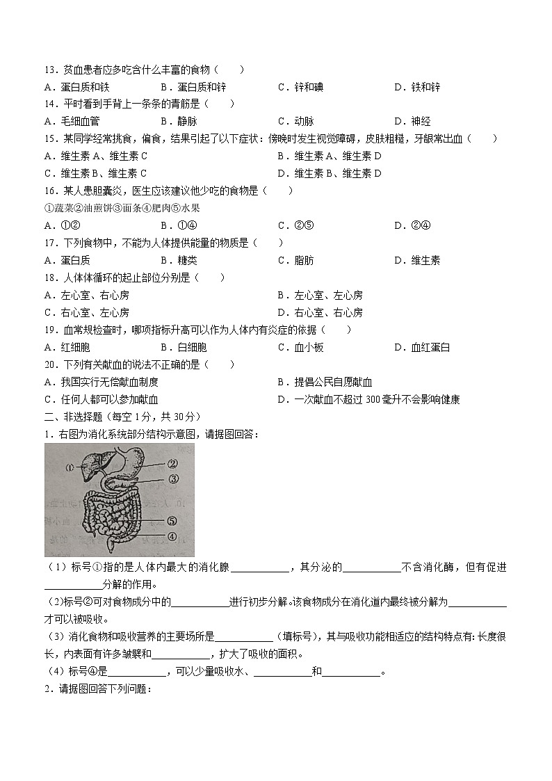 河南省兰考县2021-2022学年七年级下学期期中生物试题(word版含答案)02