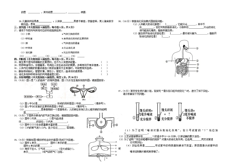 甘肃省定西市临洮县2021-2022学年七年级下学期期中检测生物试题(word版含答案)第2页