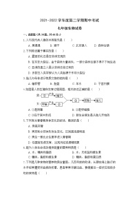 广东省高州市第一中学附属实验中学2021-2022学年七年级下学期期中考试生物试题(word版含答案)