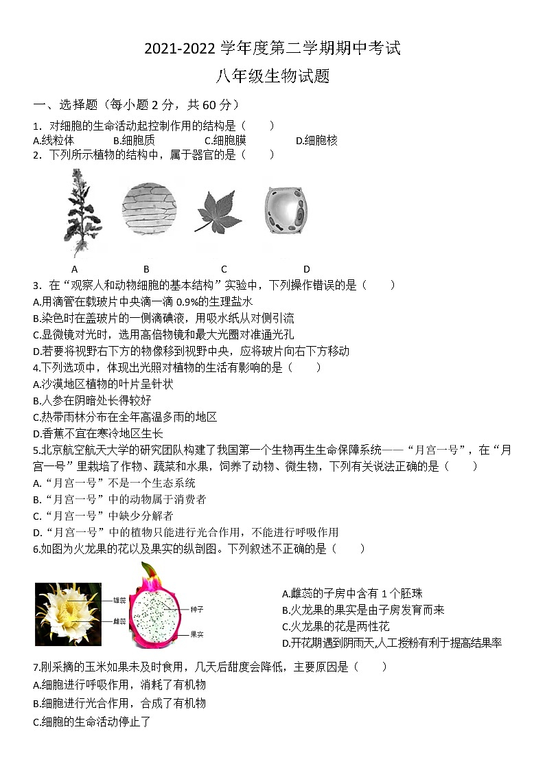广东省高州市第一中学附属实验中学2021-2022学年八年级下学期期中考试生物试题(word版含答案)01