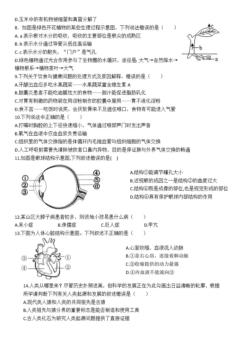 广东省高州市第一中学附属实验中学2021-2022学年八年级下学期期中考试生物试题(word版含答案)02