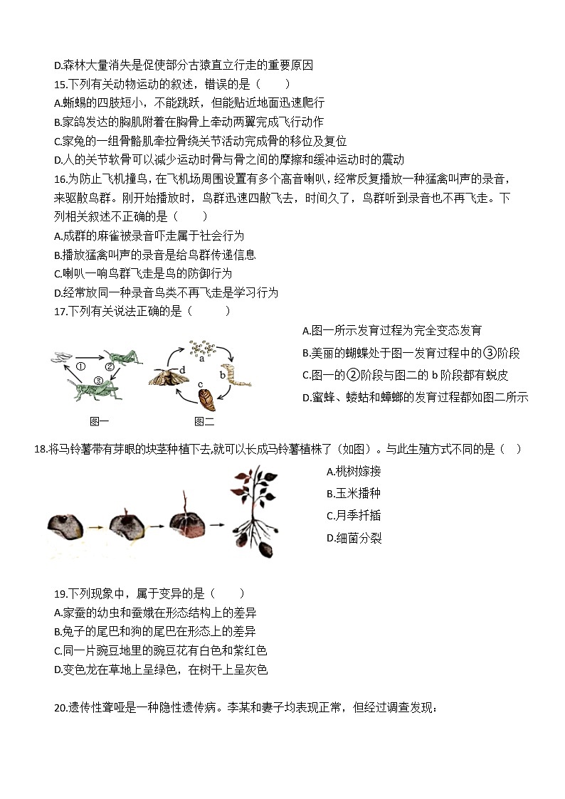 广东省高州市第一中学附属实验中学2021-2022学年八年级下学期期中考试生物试题(word版含答案)03