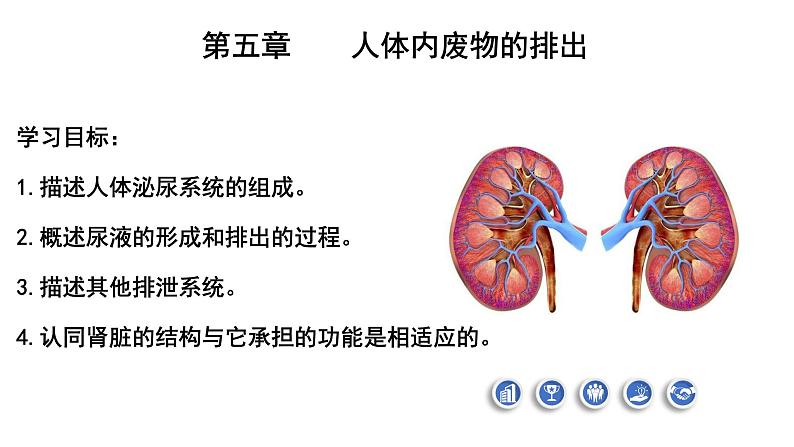 4.5人体内废物的排出课件PPT02