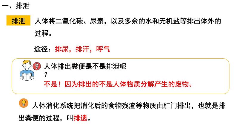 4.5人体内废物的排出课件PPT03