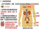 4.5人体内废物的排出课件PPT