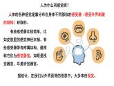 4.6.1人体对外界环境的感知课件PPT