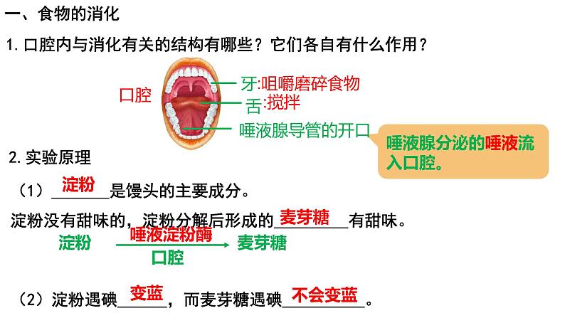 4.2.2消化和吸收课件PPT03