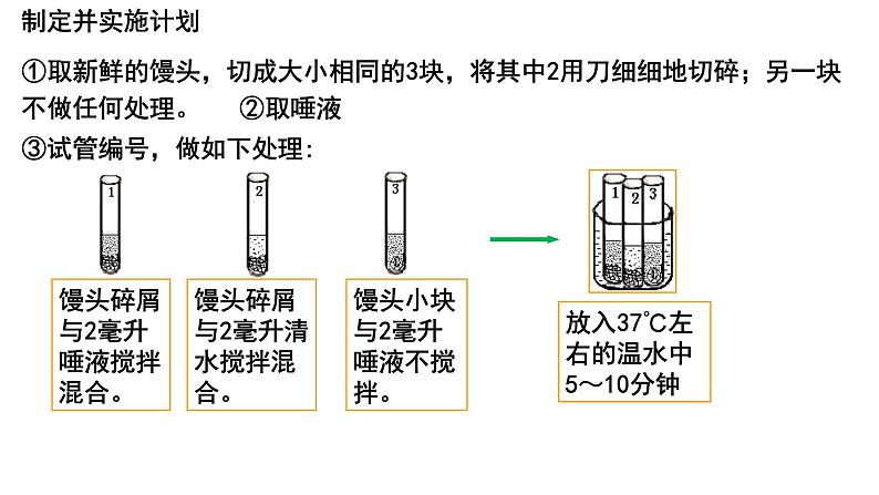 4.2.2消化和吸收课件PPT05