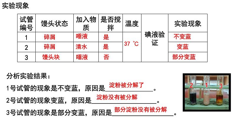 4.2.2消化和吸收课件PPT06