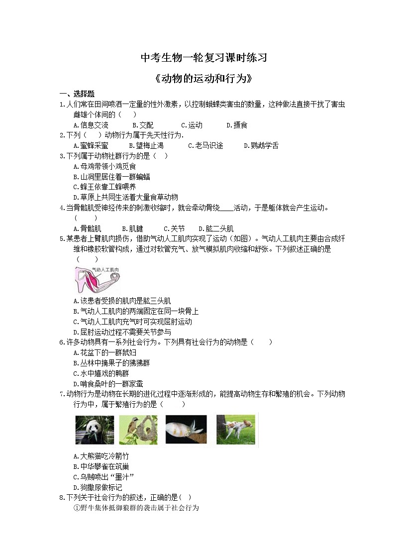 中考生物一轮复习课时练习《动物的运动和行为》（含答案）第1页