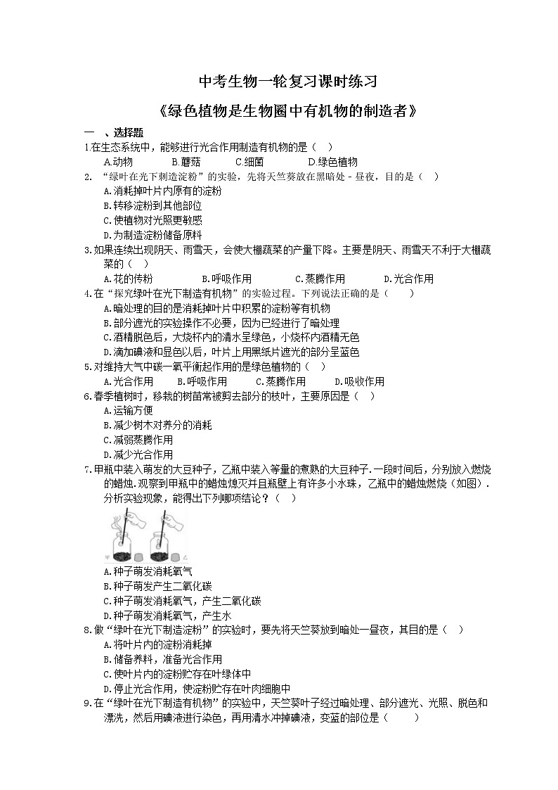 中考生物一轮复习课时练习《绿色植物是生物圈中有机物的制造者》（含答案）第1页