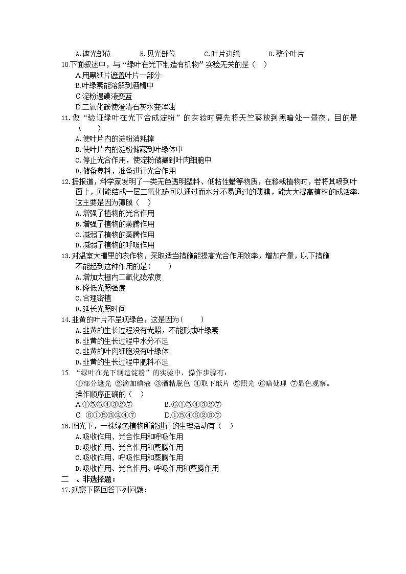 中考生物一轮复习课时练习《绿色植物是生物圈中有机物的制造者》（含答案）第2页