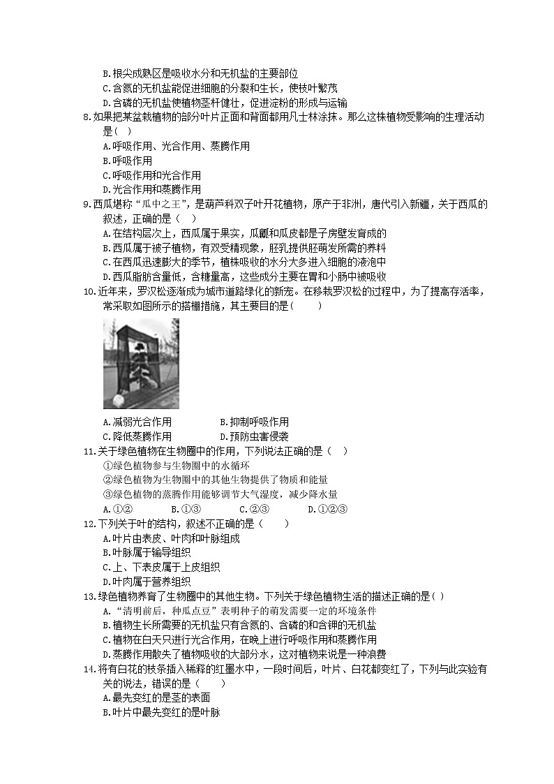 中考生物一轮复习课时练习《绿色植物与生物圈的水循环》（含答案）第2页