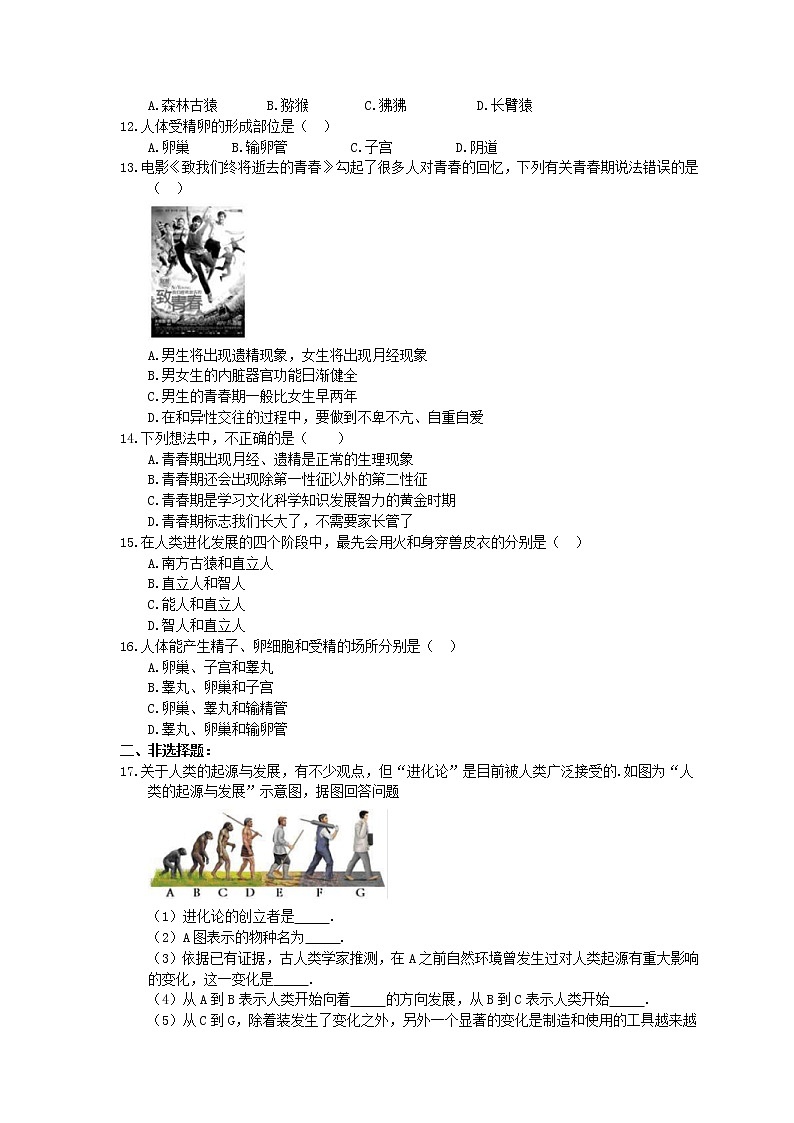 中考生物一轮复习课时练习《人的由来》（含答案）02