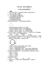 中考生物一轮复习课时练习《人体生命活动的调节》（含答案）