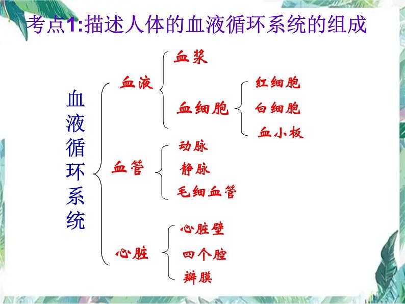 八年级生物 专题复习 血液循环系统 人体呼吸系统 复习课件PPT第3页