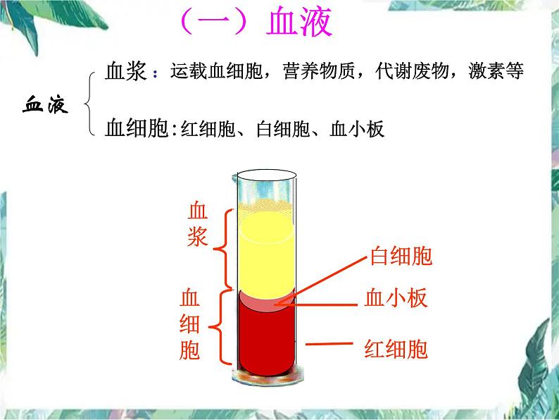 八年级生物 专题复习 血液循环系统 人体呼吸系统 复习课件PPT第4页