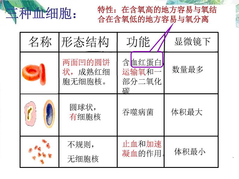 八年级生物 专题复习 血液循环系统 人体呼吸系统 复习课件PPT第5页