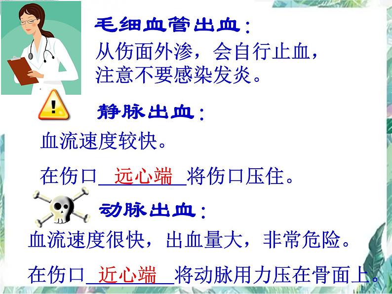 八年级生物 专题复习 血液循环系统 人体呼吸系统 复习课件PPT第8页