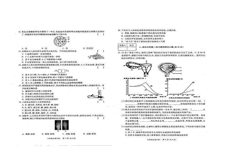 河南省商水县希望初级中学2021-2022学年七年级下学期期中生物试题（含答案）第2页