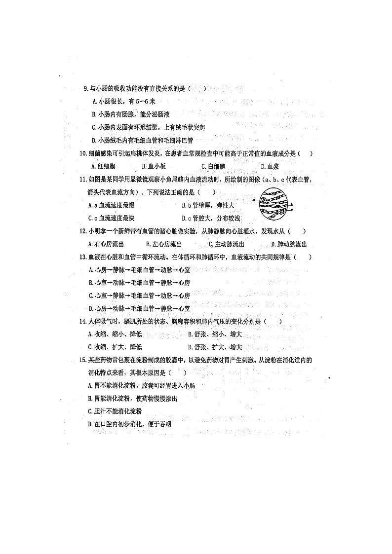 广西防城港市防城区2021-2022年七年级下学期期中生物试题（含答案）02