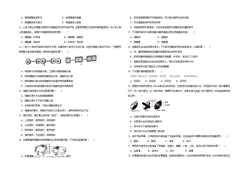 四川省成都市锦江区教育科学研究院附属中学2021-2022学年八年级下学期期中生物试题（含答案）第2页