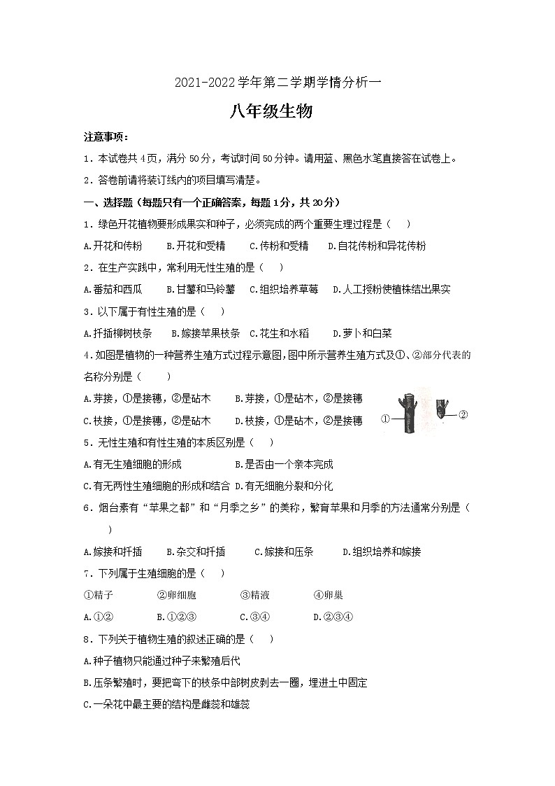 河北省衡水市武邑武罗学校2021-2022学年八年级下学期学情分析一（月考）生物试题（含答案）01