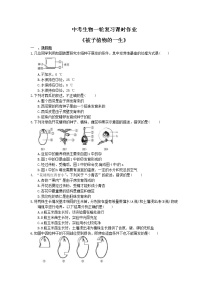 中考生物一轮复习课时作业《被子植物的一生》（含答案）