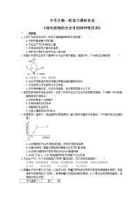 中考生物一轮复习课时作业《绿色植物的光合作用和呼吸作用 》（含答案）