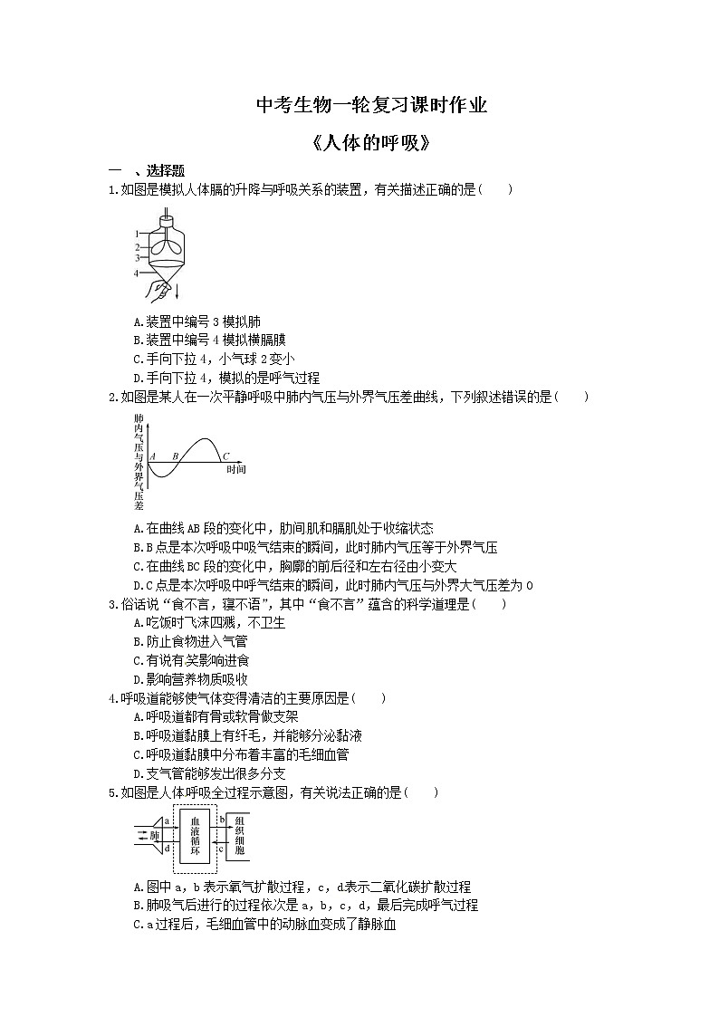 中考生物一轮复习课时作业《人体的呼吸》（含答案）第1页