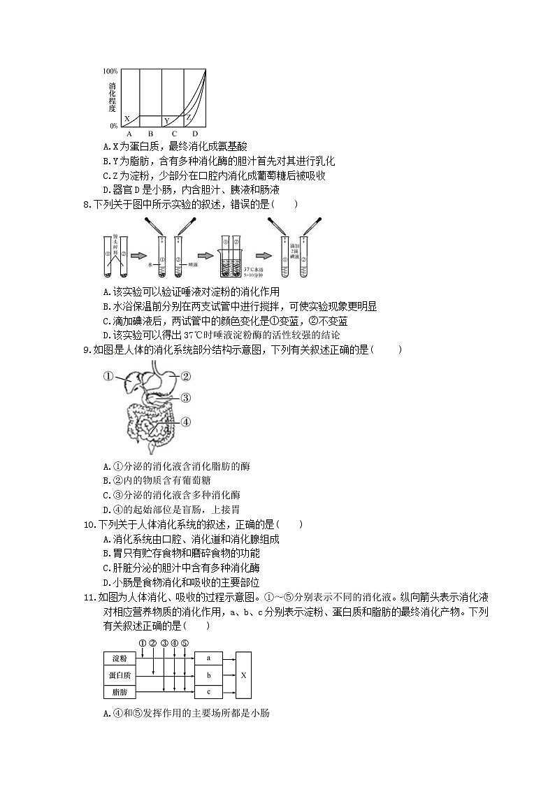 中考生物一轮复习课时作业《人体的营养》（含答案）第2页