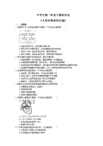 中考生物一轮复习课时作业《人体内物质的运输》（含答案）