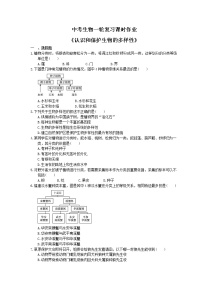 中考生物一轮复习课时作业《认识和保护生物的多样性》（含答案）