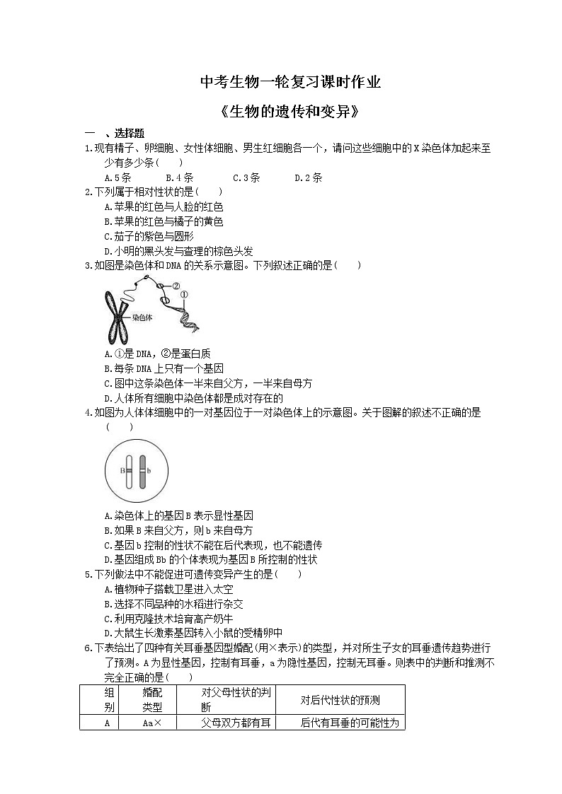 中考生物一轮复习课时作业《生物的遗传和变异》（含答案） 练习01