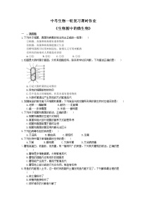 中考生物一轮复习课时作业《生物圈中的微生物》（含答案）