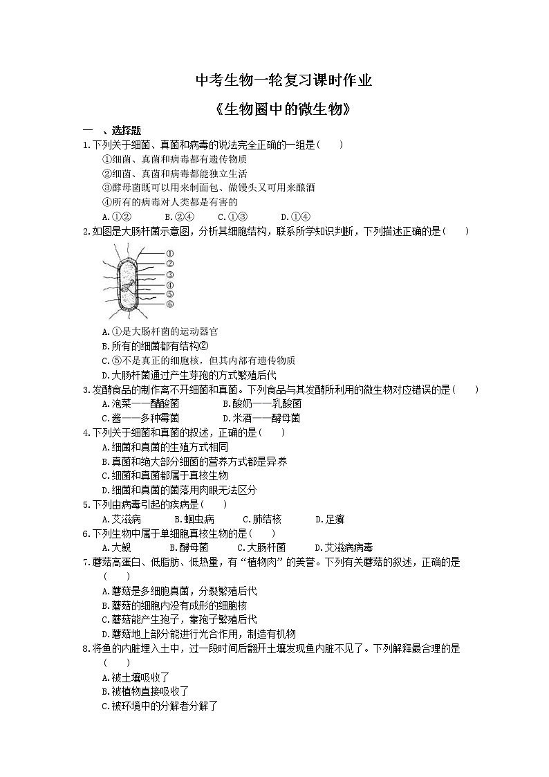 中考生物一轮复习课时作业《生物圈中的微生物》（含答案）第1页