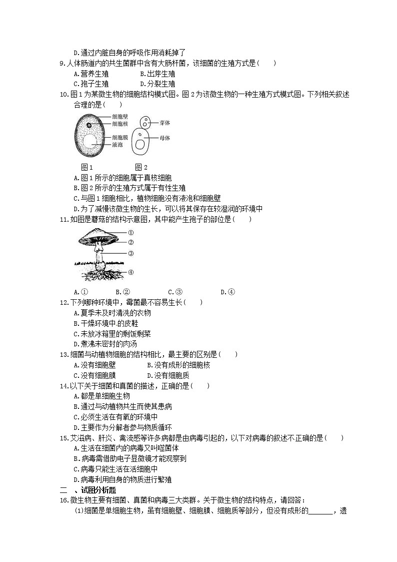 中考生物一轮复习课时作业《生物圈中的微生物》（含答案）第2页