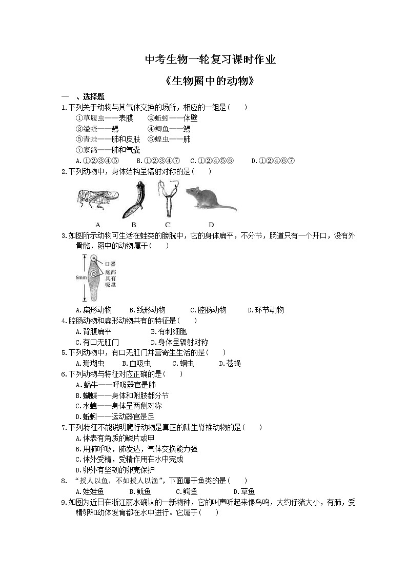 中考生物一轮复习课时作业《生物圈中的动物》（含答案）第1页